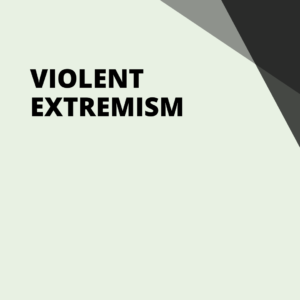 violent extremism, education and art, youth engagement, pdp organisation